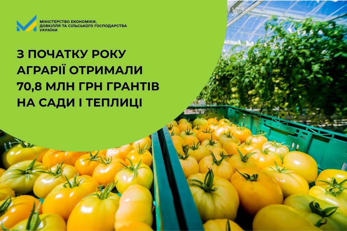 З початку року аграрії отримали 70,8 млн грн грантів на сади і теплиці