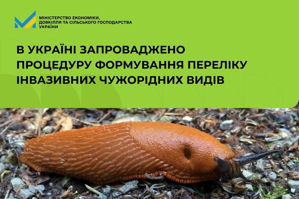 В Україні запроваджено процедуру формування переліку інвазивних чужорідних видів
