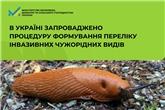 В Україні запроваджено процедуру формування переліку інвазивних чужорідних видів
