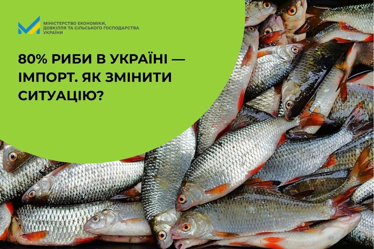 80% риби в Україні — імпорт. Як змінити ситуацію?