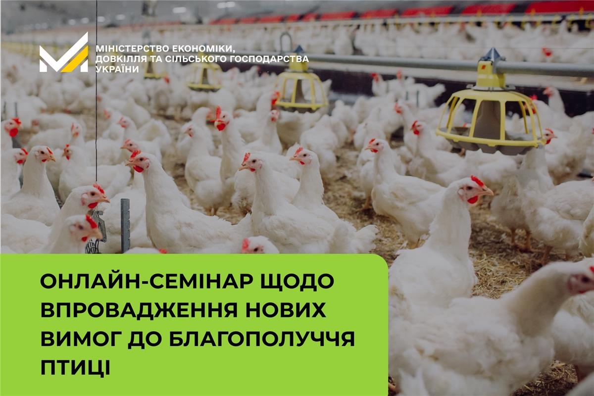 Відбудеться онлайн-семінар щодо впровадження нових вимог до благополуччя сільськогосподарської птиці
