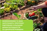 Мінекономіки та ФАО запускають програму підтримки сільських домогосподарств на Дніпропетровщині