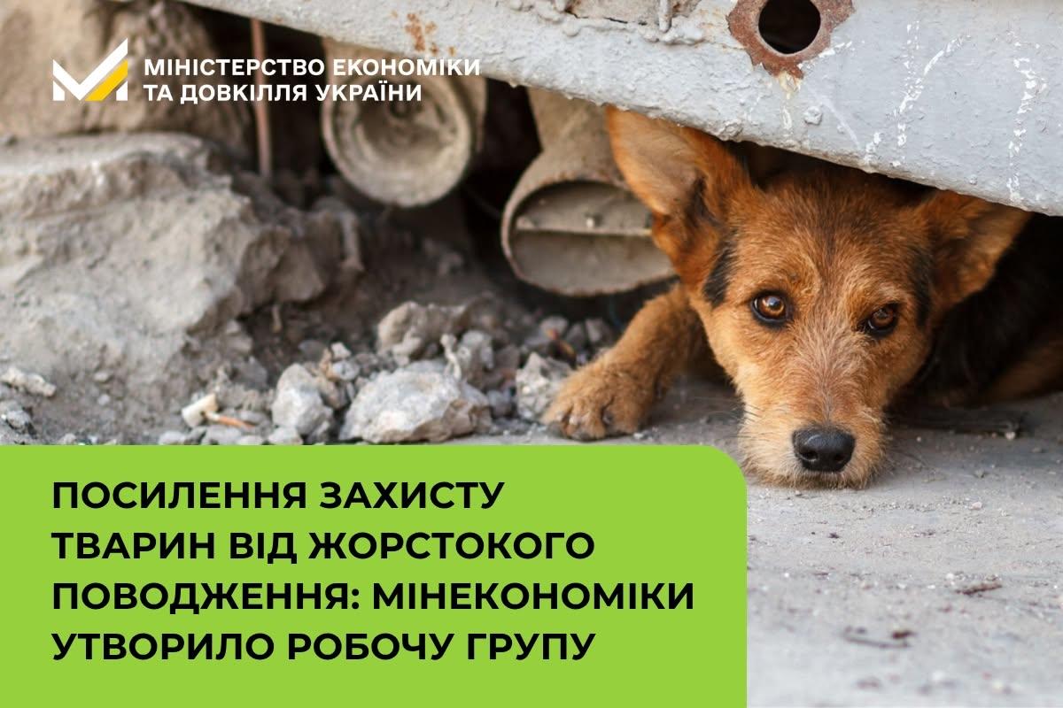 Посилення захисту тварин від жорстокого поводження: Мінекономіки утворило робочу групу