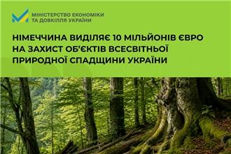 Букові праліси