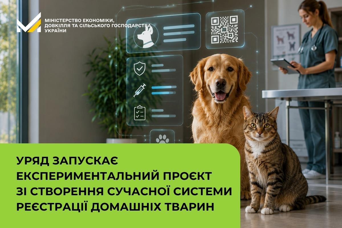 Уряд запускає експериментальний проєкт зі створення сучасної системи реєстрації домашніх тварин
