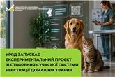 Уряд запускає експериментальний проєкт зі створення сучасної системи реєстрації домашніх тварин