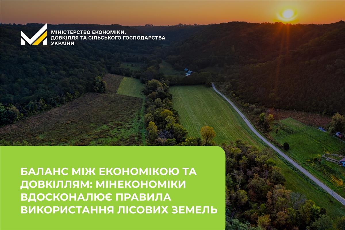 Баланс між економікою та довкіллям: Мінекономіки вдосконалює правила використання лісових земель