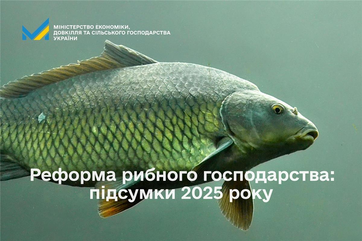 Реформа рибного господарства: підсумки 2025 року