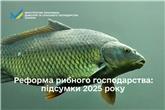 Реформа рибного господарства: підсумки 2025 року