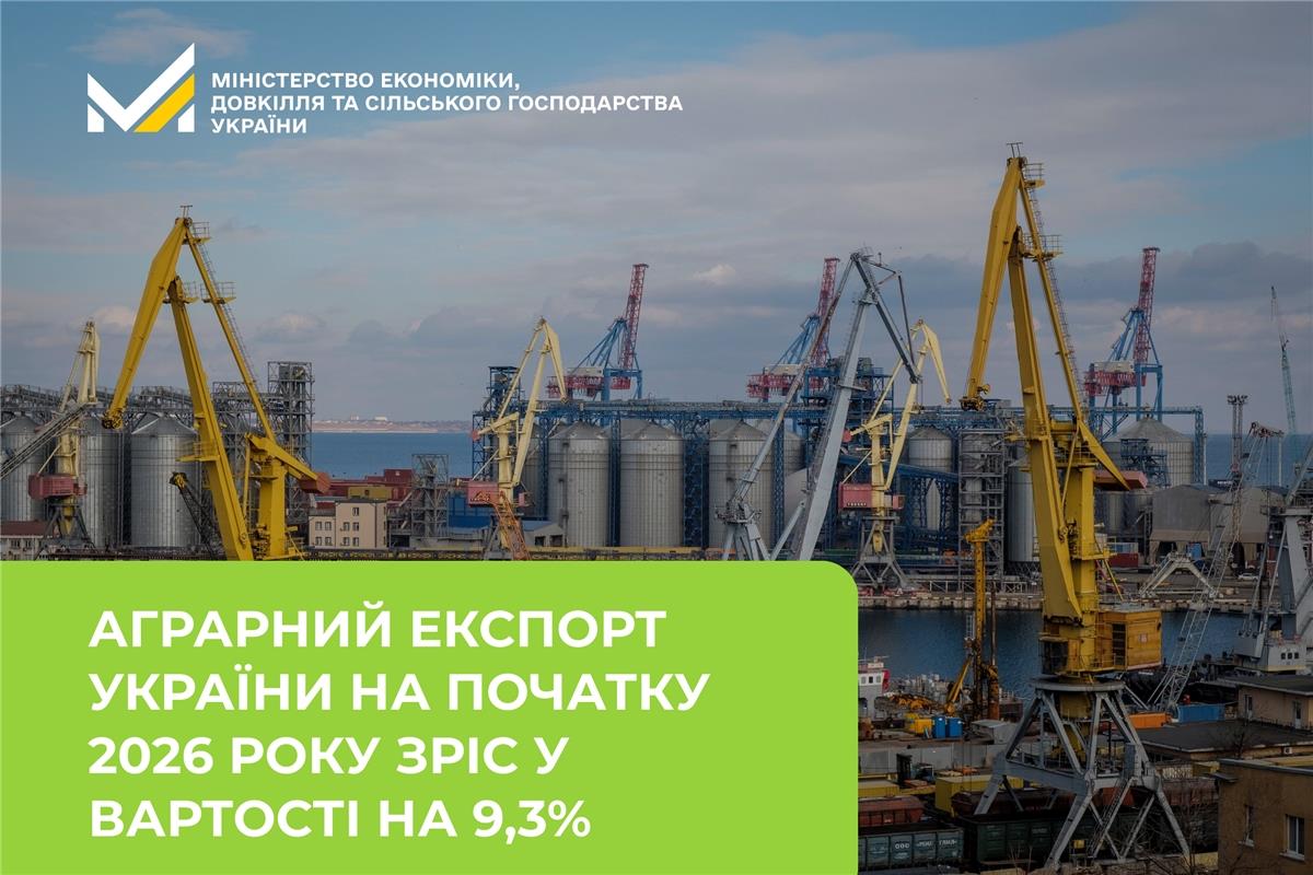 Тарас Висоцький: Аграрний експорт України на початку 2026 року зріс у вартості на 9,3%
