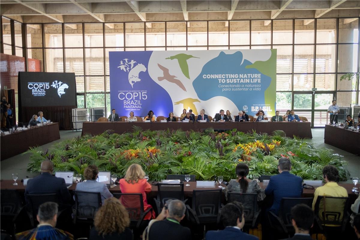 COP15: Україна долучилася до формування глобальної політики захисту мігруючих видів та акцентувала на впливі війни