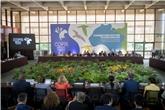 COP15: Україна долучилася до формування глобальної політики захисту мігруючих видів та акцентувала на впливі війни